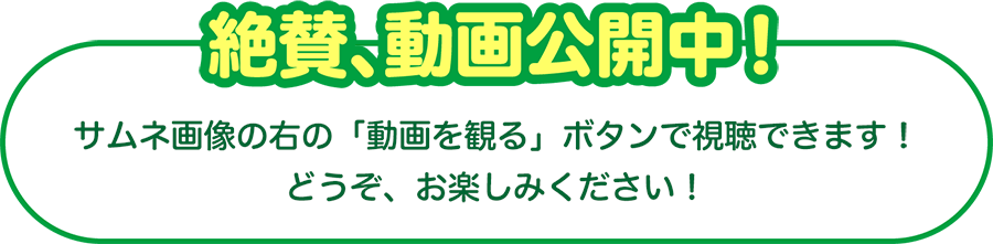 関根麻里さんのプレゼンテーション動画公開中